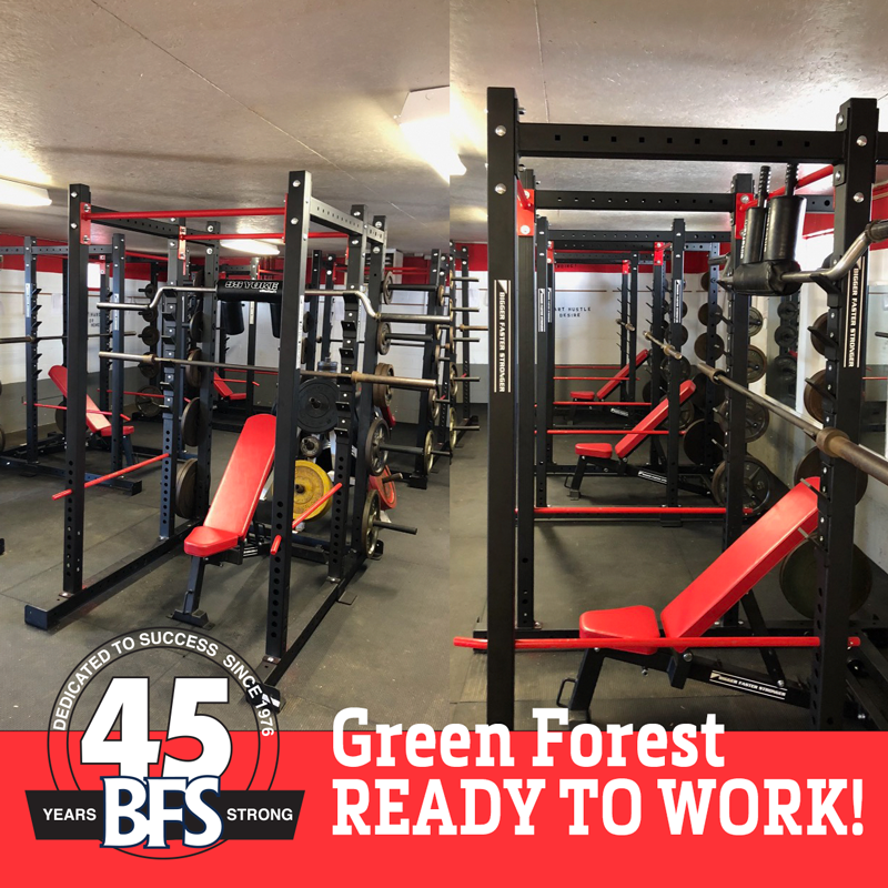 Green Forest: Ready to Work