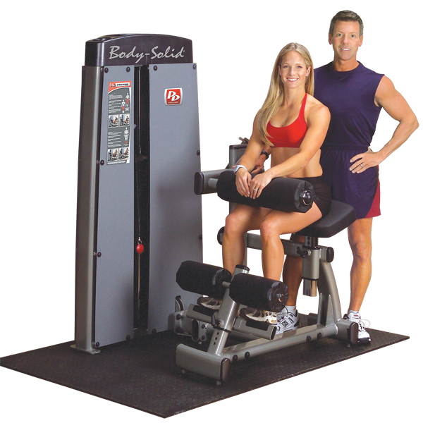 Body-Solid - Dual Ab/Back, FREESTANDING, W STACK