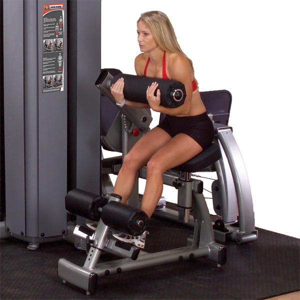 Body-Solid - Dual Ab/Back, DGYM w STACK