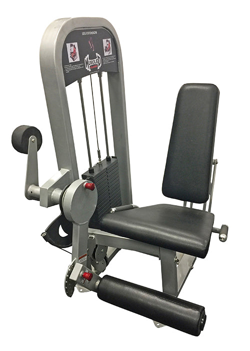 Leg Extension - Muscle D