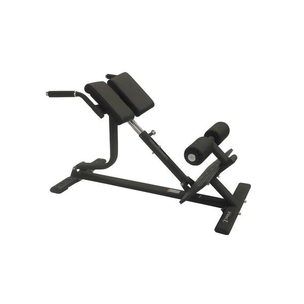 cybex 45 degree back extension Torque X-SERIES - Back Extension Bench – Weight Room Equipment