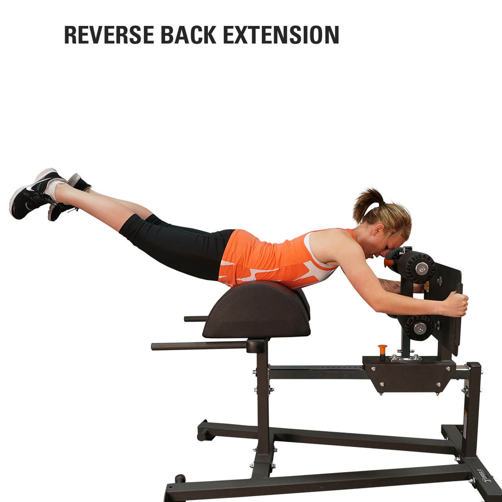 Torque X-SERIES - Glute Ham Developer