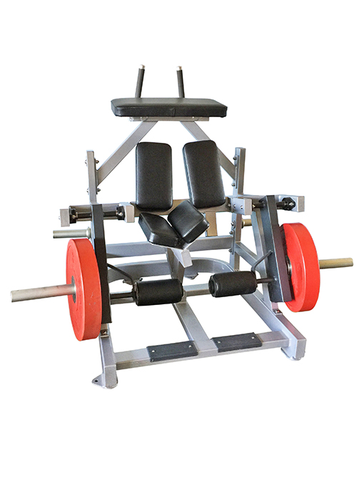Kneeling Leg Curl - Muscle D