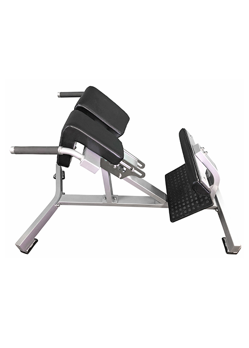 Hyper Extension Bench - Muscle D