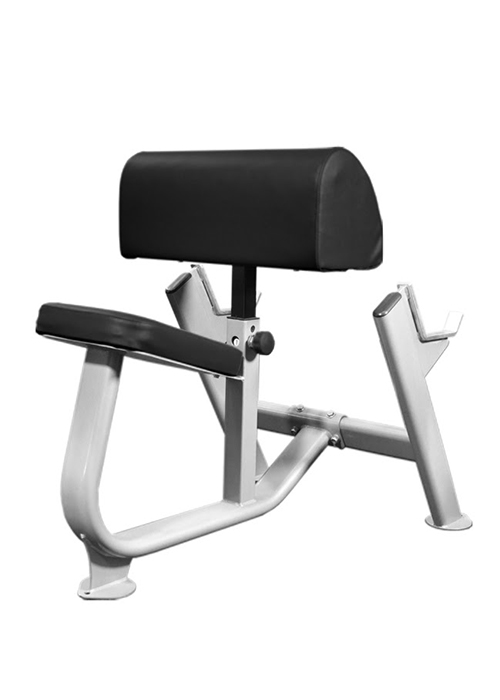 Preachers Curl Bench - Muscle D