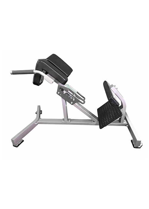 Hyper Extension Bench - Muscle D