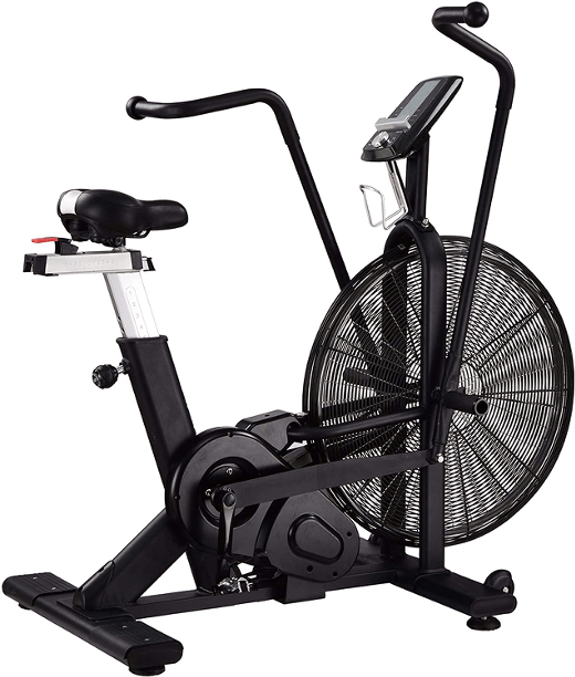 BodyKore Commercial Air Bike