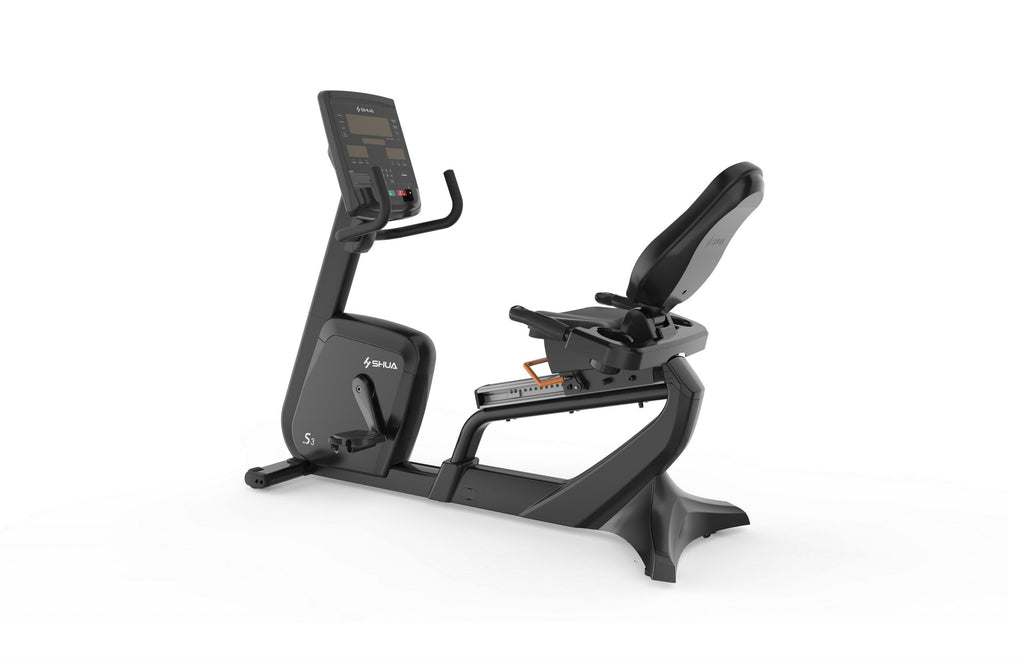 Recumbent Bike