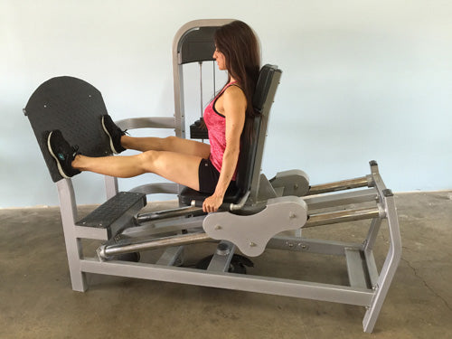 Seated Leg Press - Muscle D