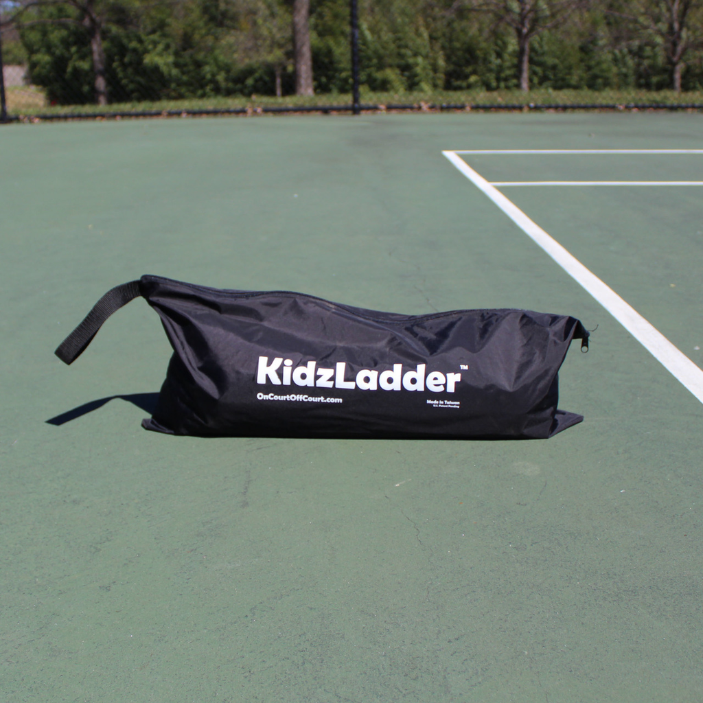 KidzLadder w/ Kids and Ladders DVD