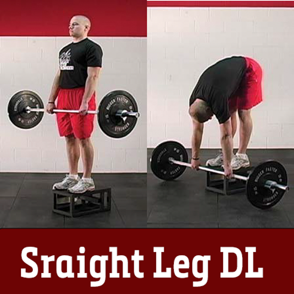Adjustable box squat box cheap
